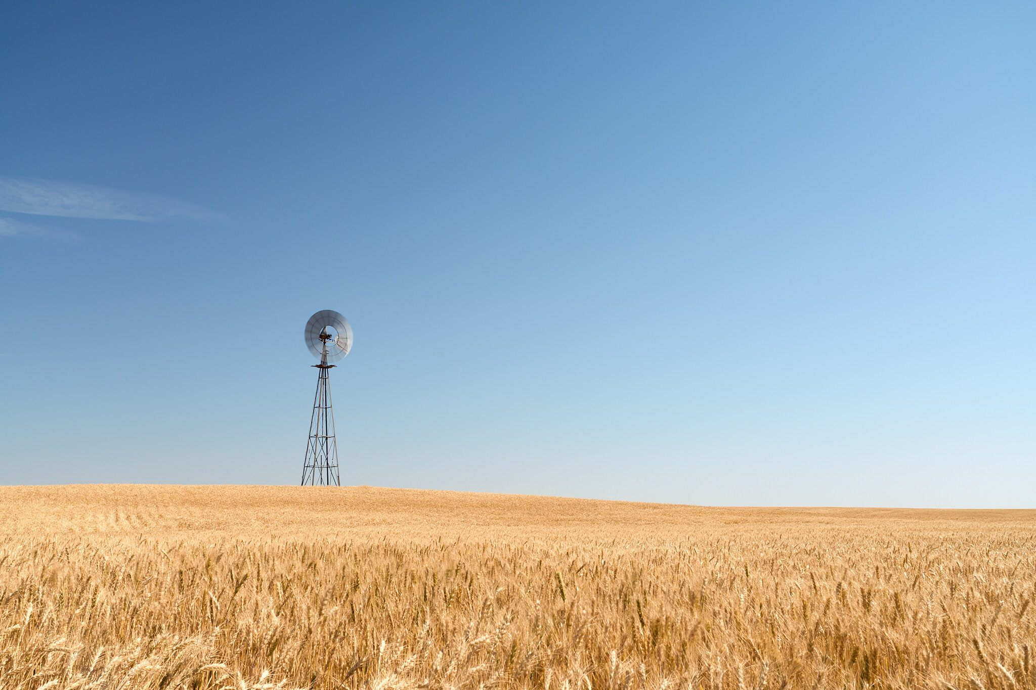 Windmill