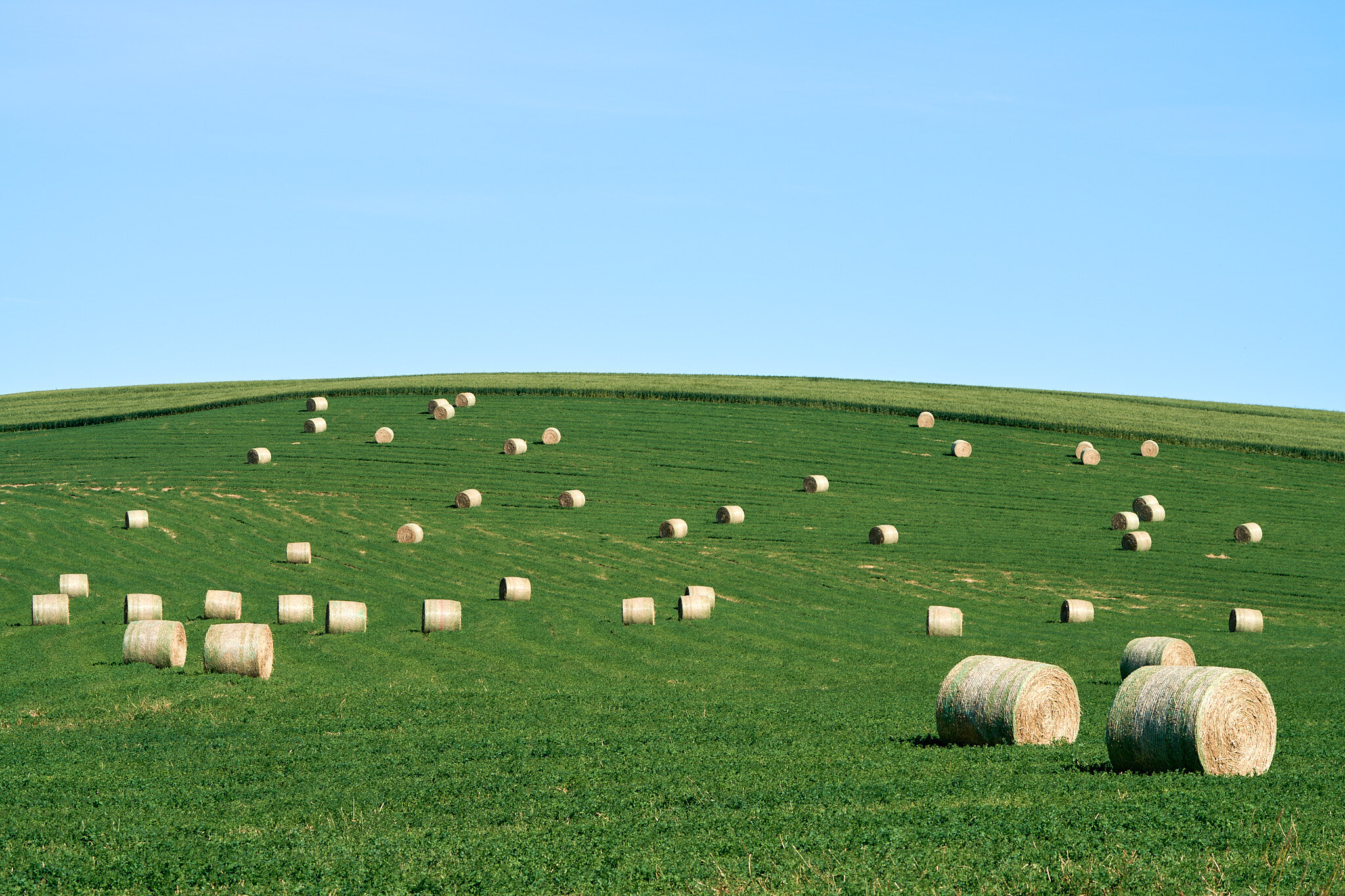 Hay Fields