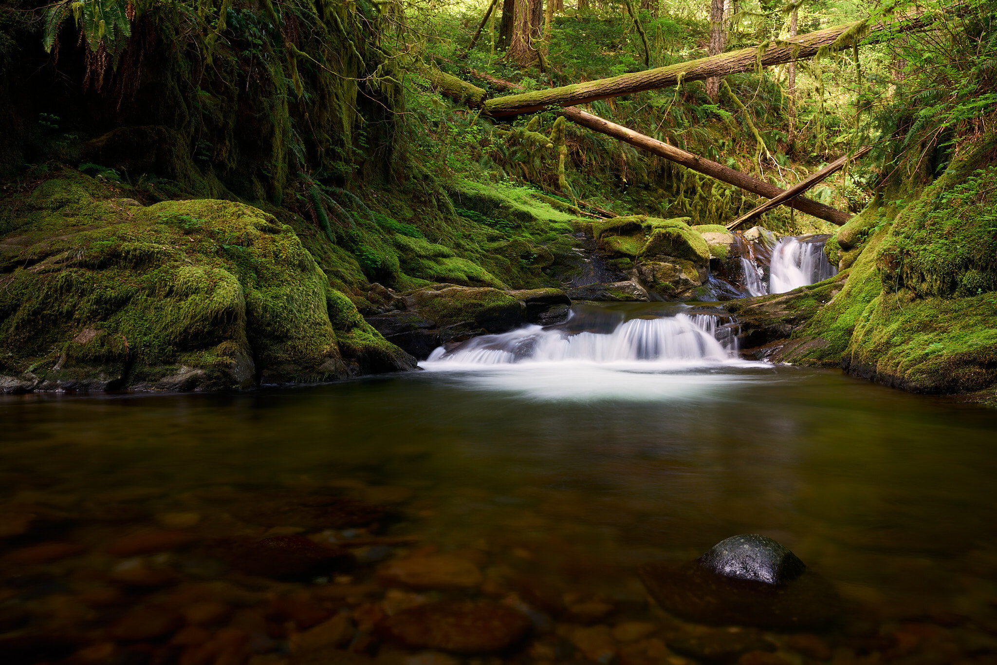 Duncan Creek Cascade