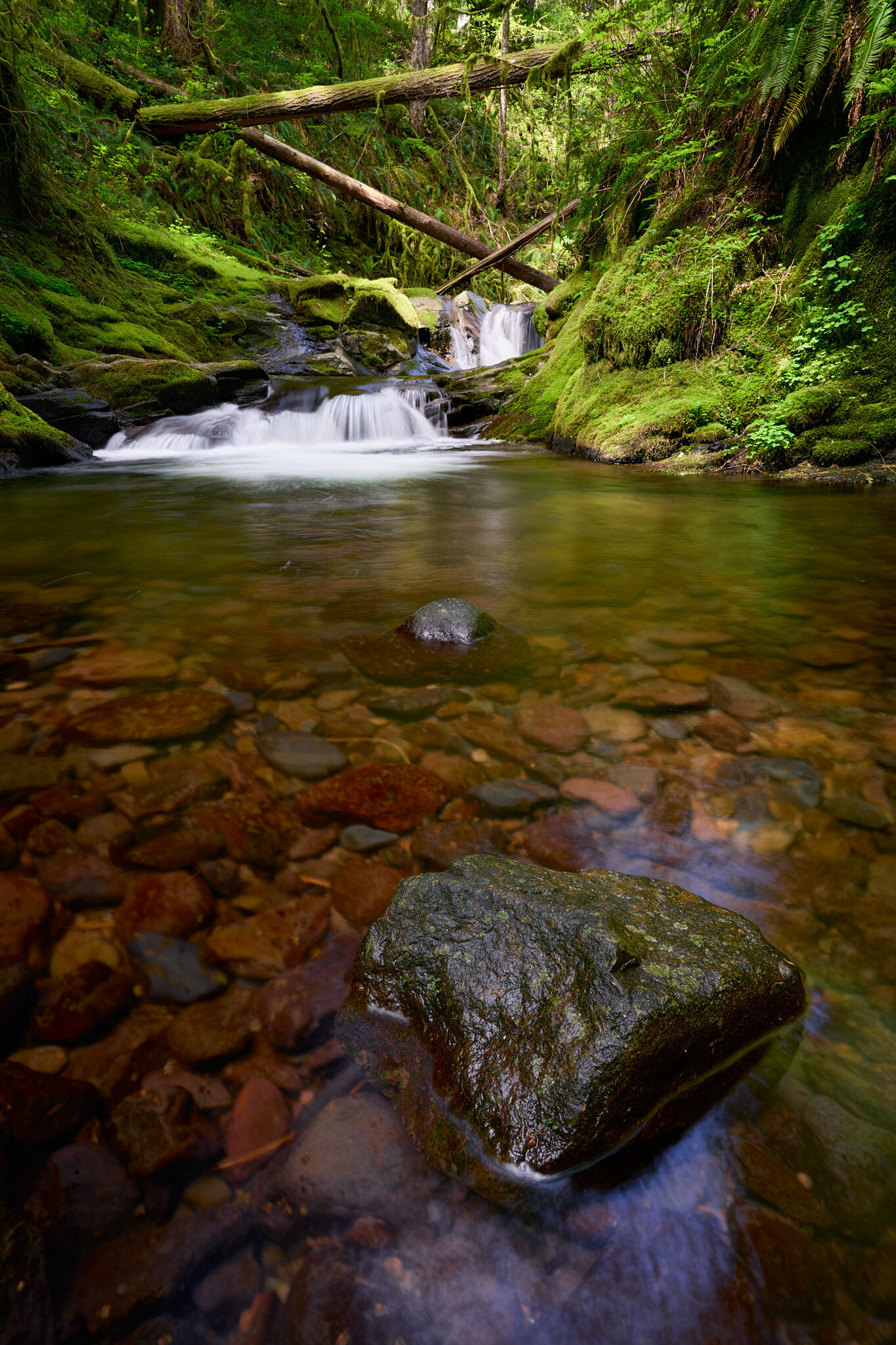 Duncan Creek Cascade II