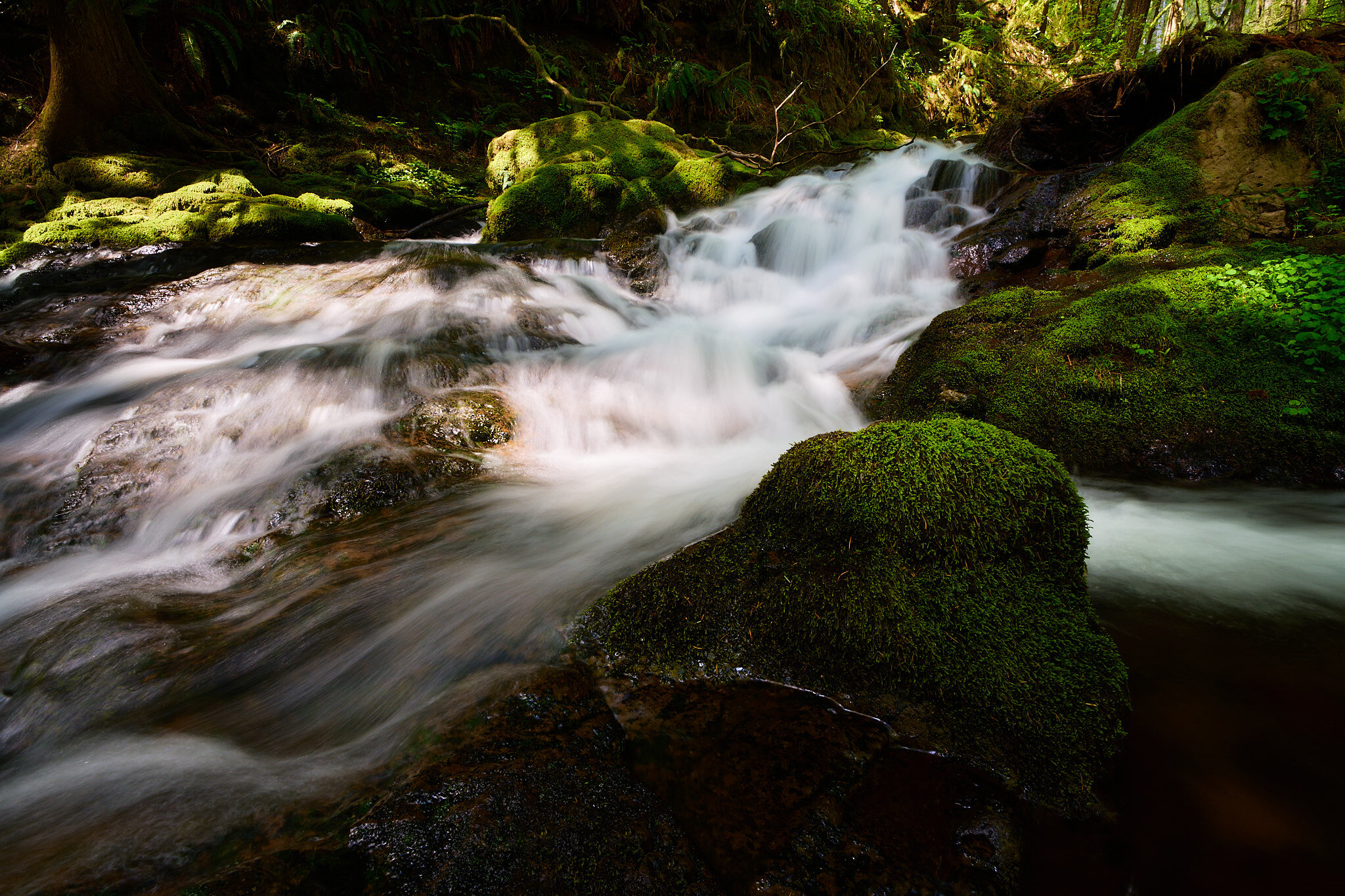 Duncan Creek Cascade III