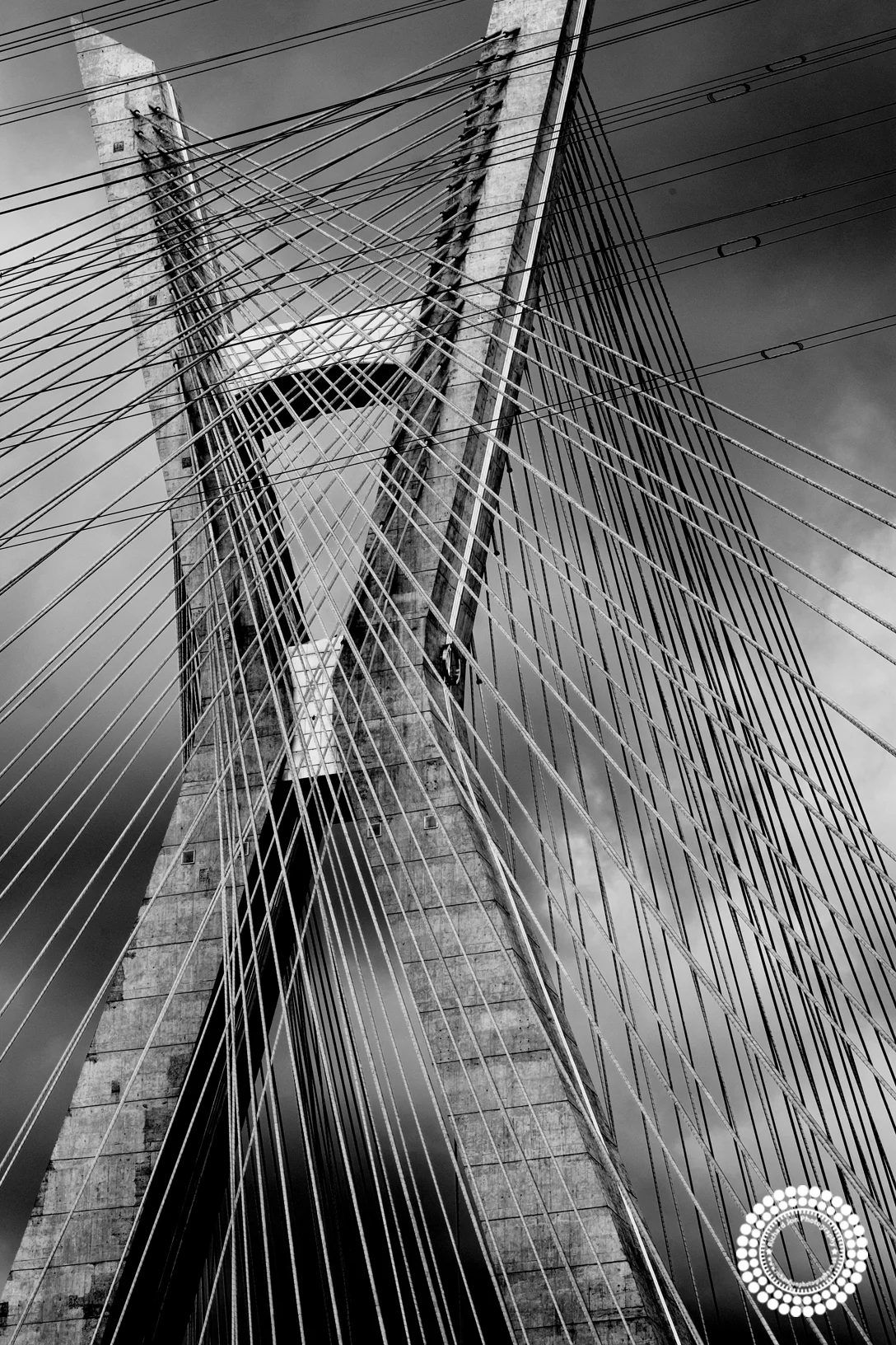 a©RJP Cross Wires-1195.jpg
