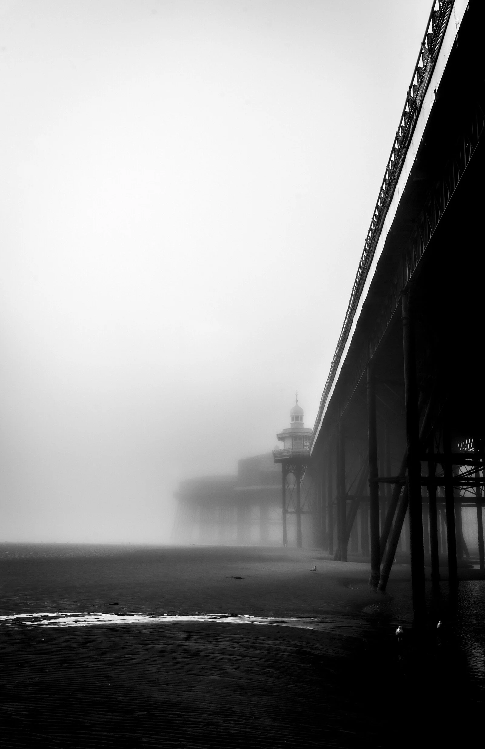 Where The Wind Howls