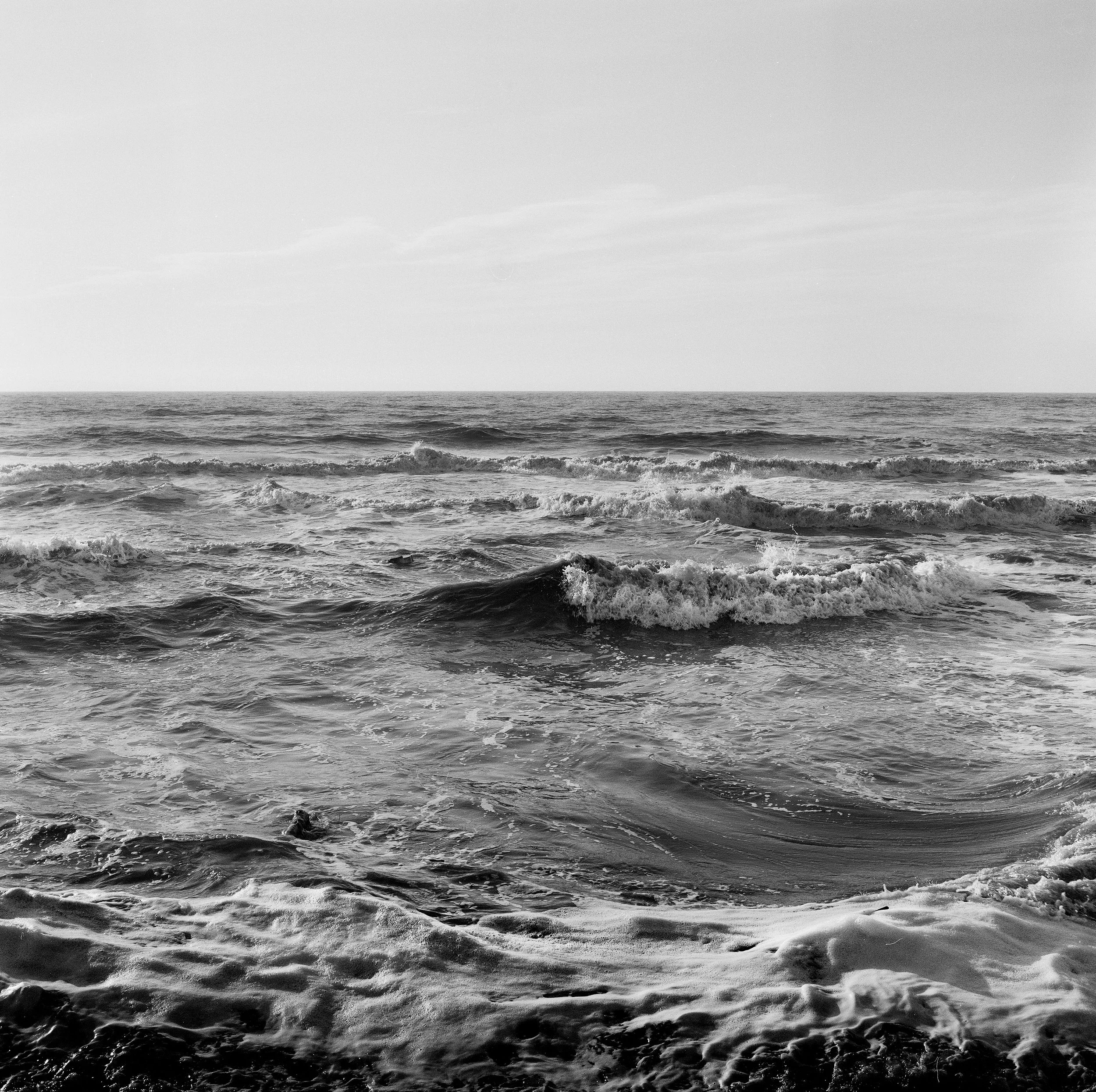 Where the wind howls