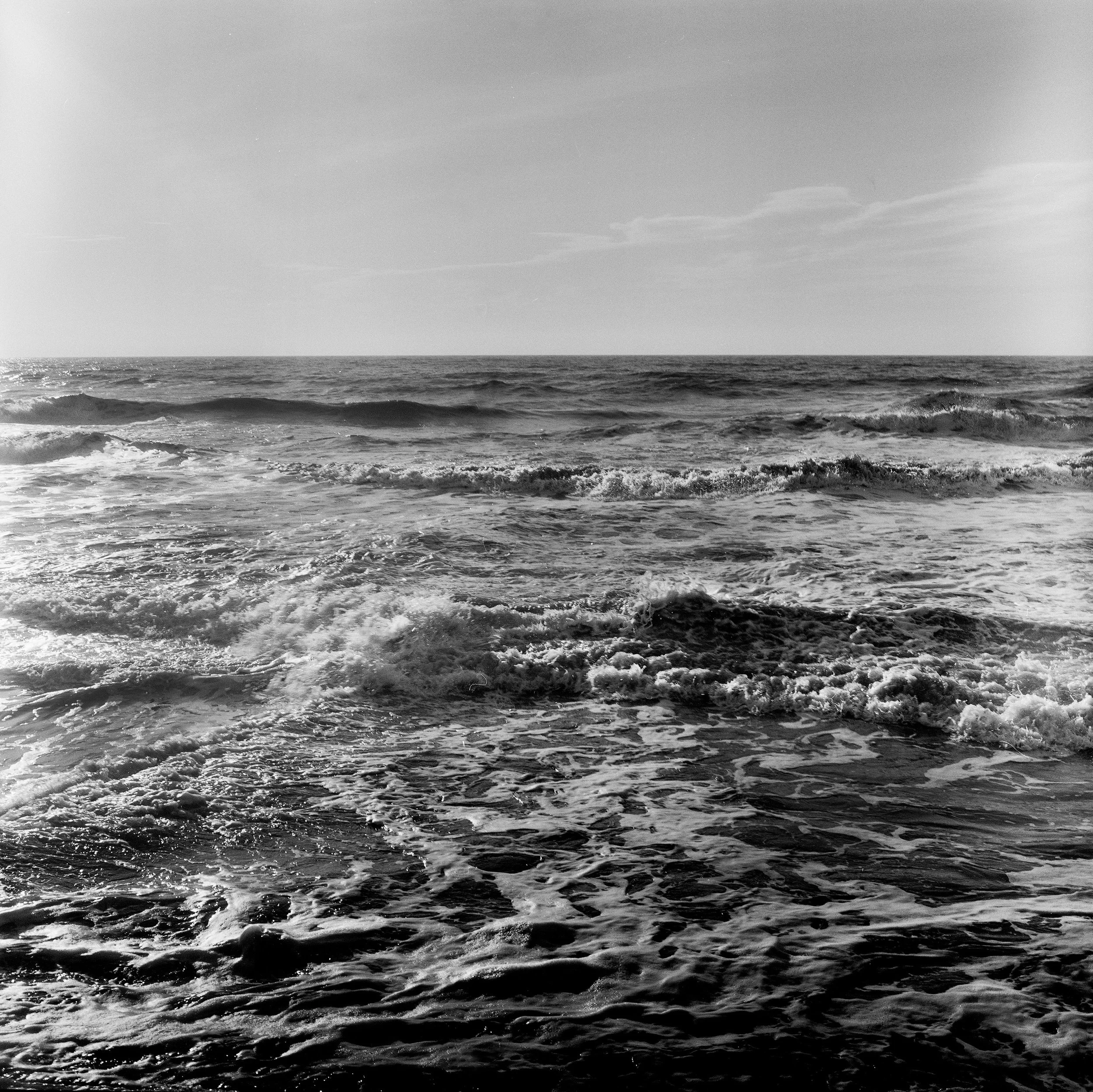 Where the wind howls