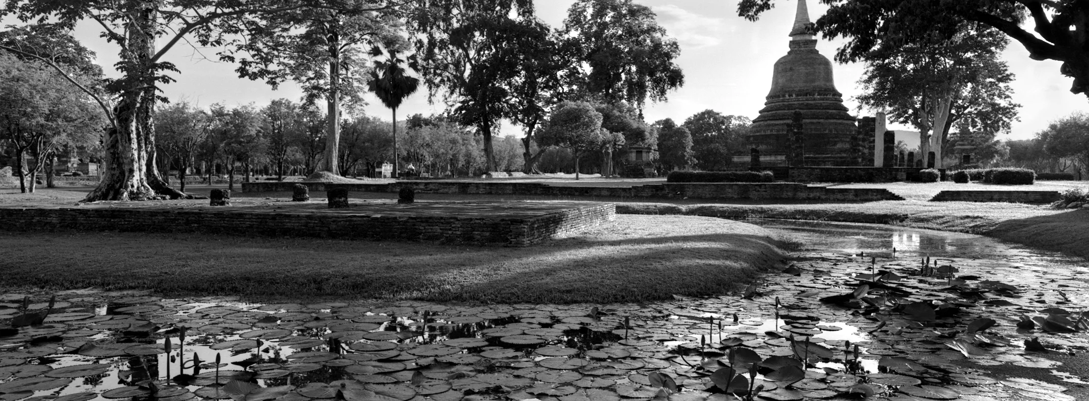 sukothai-lillies.jpg
