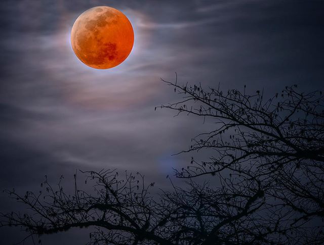 Super Blood Moon.
#moon #explorerocreate #vanlife #sprintervanlife #getoutstayout