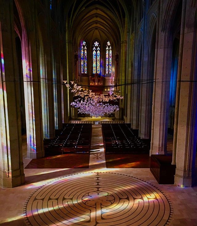 Grace Cathedral and the color of light.
#cathedral #travel #architecture #wanderlust #california #sanfrancisco #lonelyplanet #explore