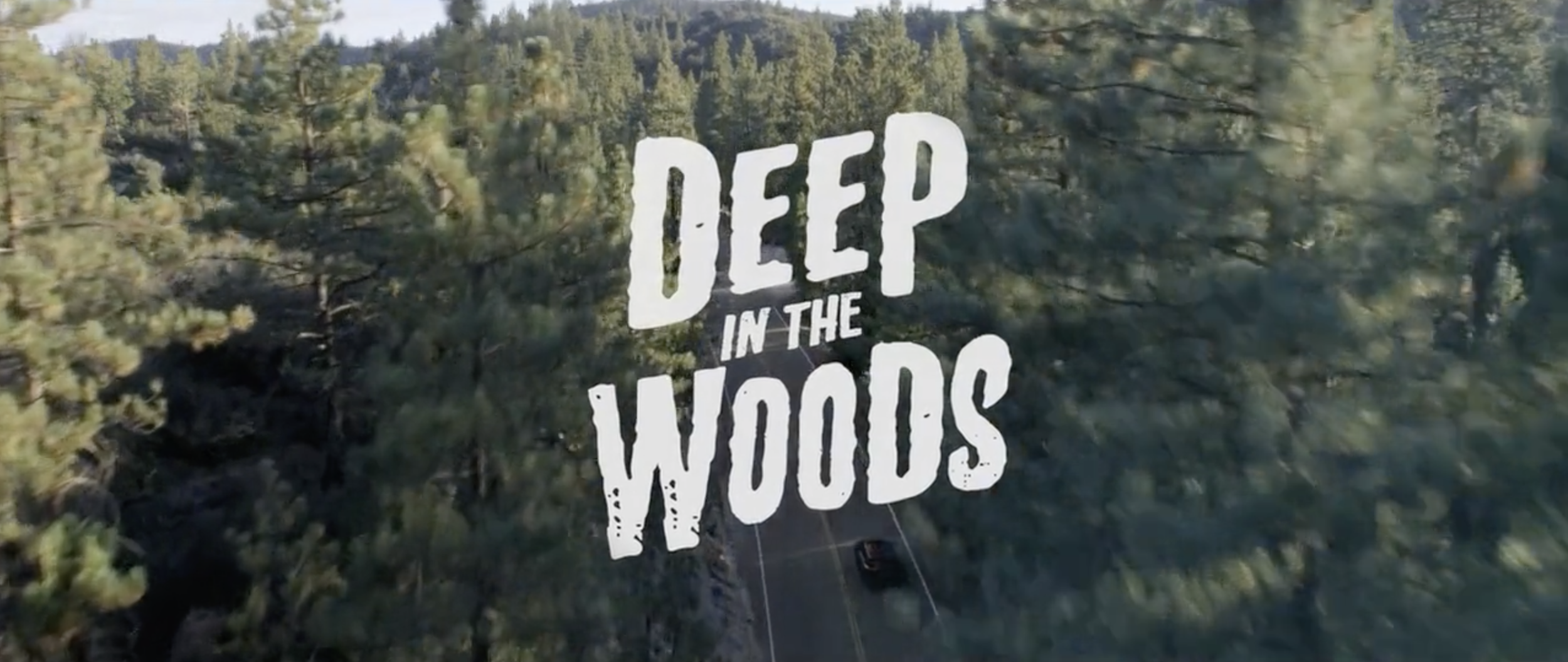 TOYOTA RAV4 - DEEP IN THE WOODS