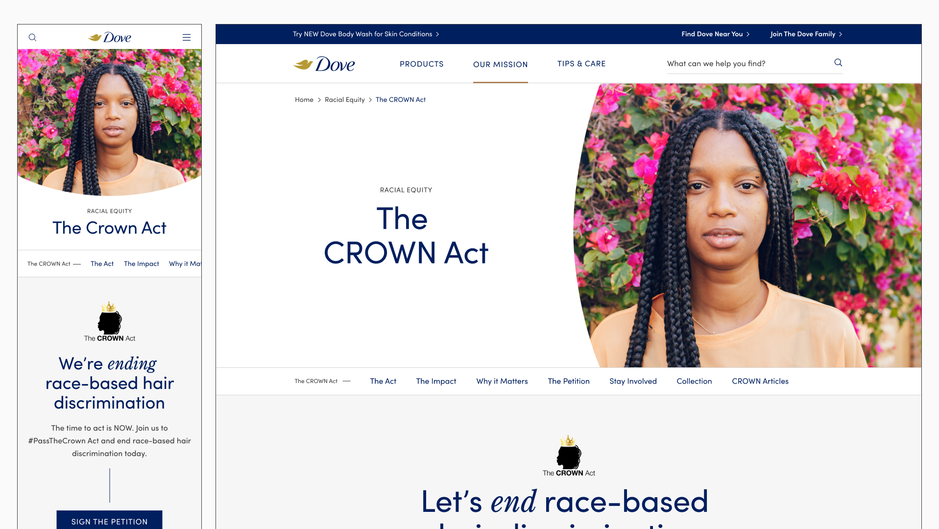 28a_ActionCampaign_TheCROWNAct_NoPetition.png