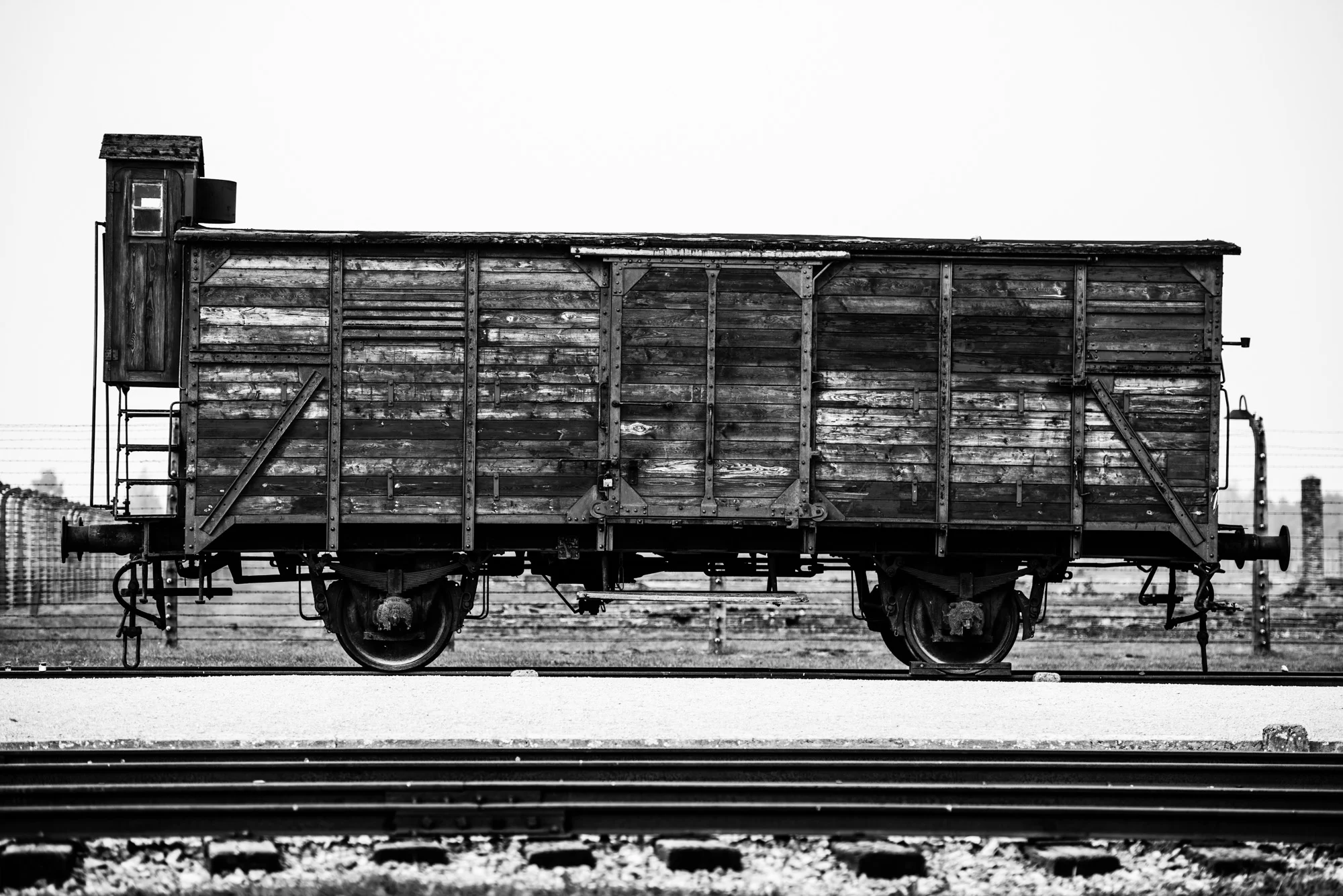DSC_0507.jpg
