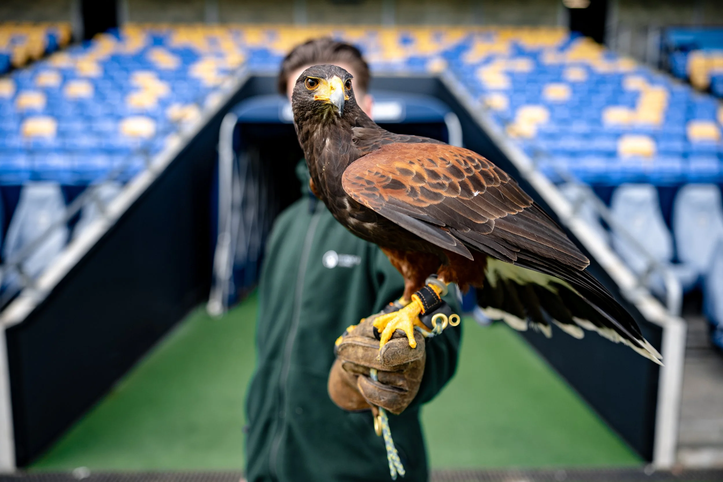 20260418_AFC_Wimbledon_0308.jpg