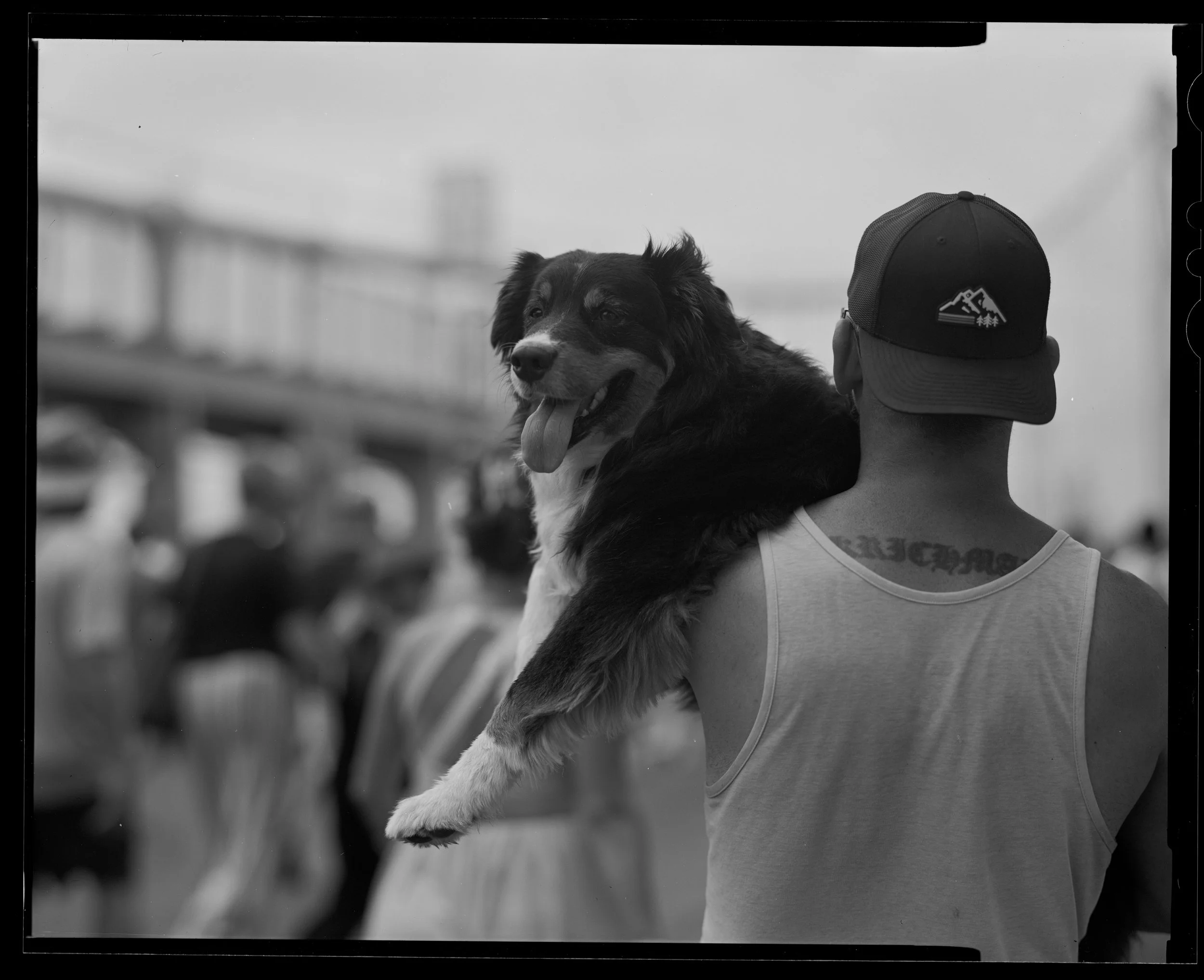 20260711_Ben_Franklin_Bridge_4x5_0016.jpg