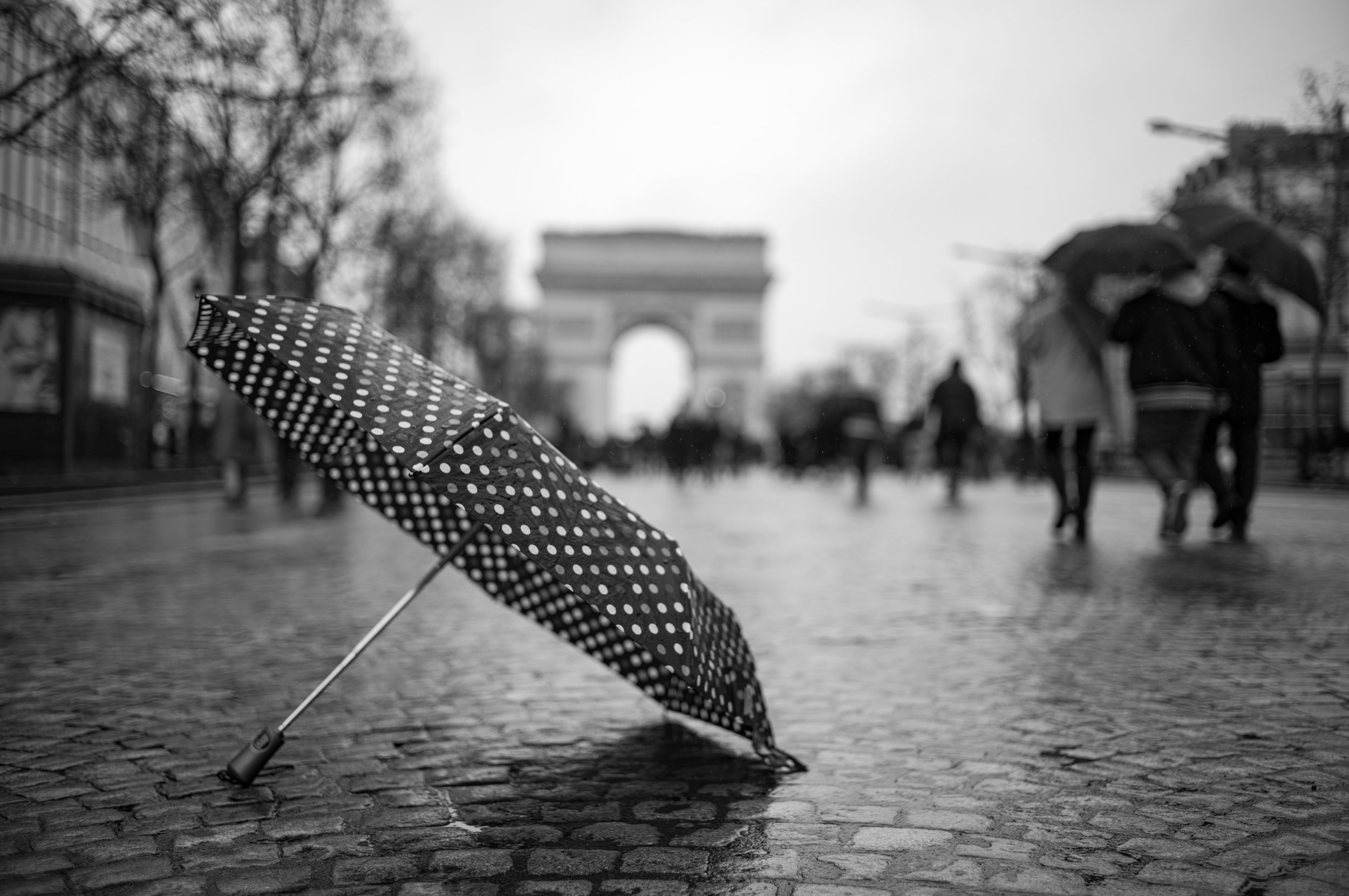 20260131_Paris_Leica_0478.jpg