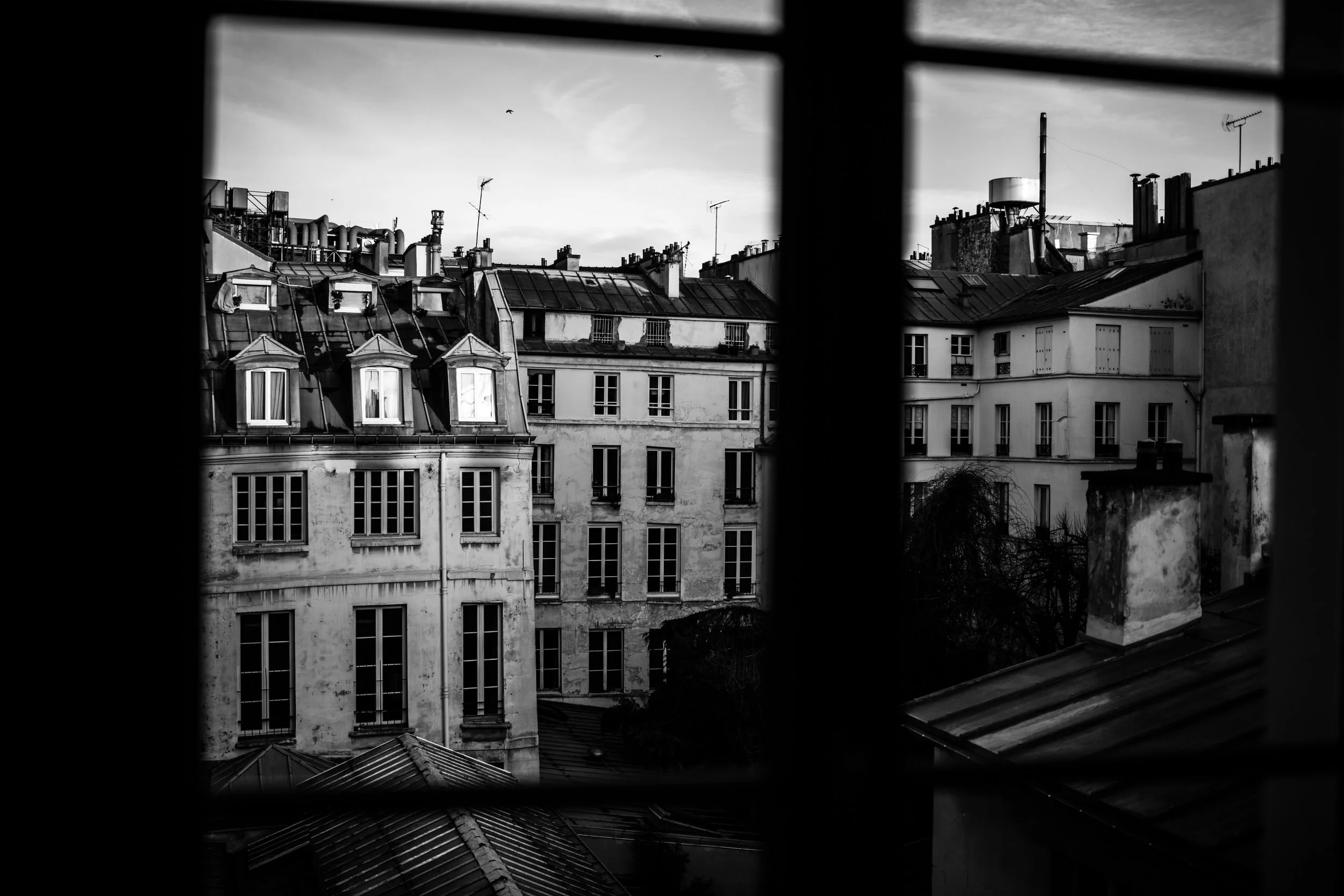 FR1_0080.jpg