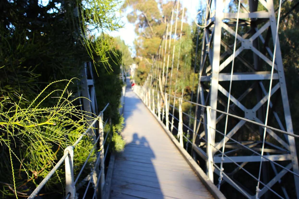 SUSPENSION BRIDGE