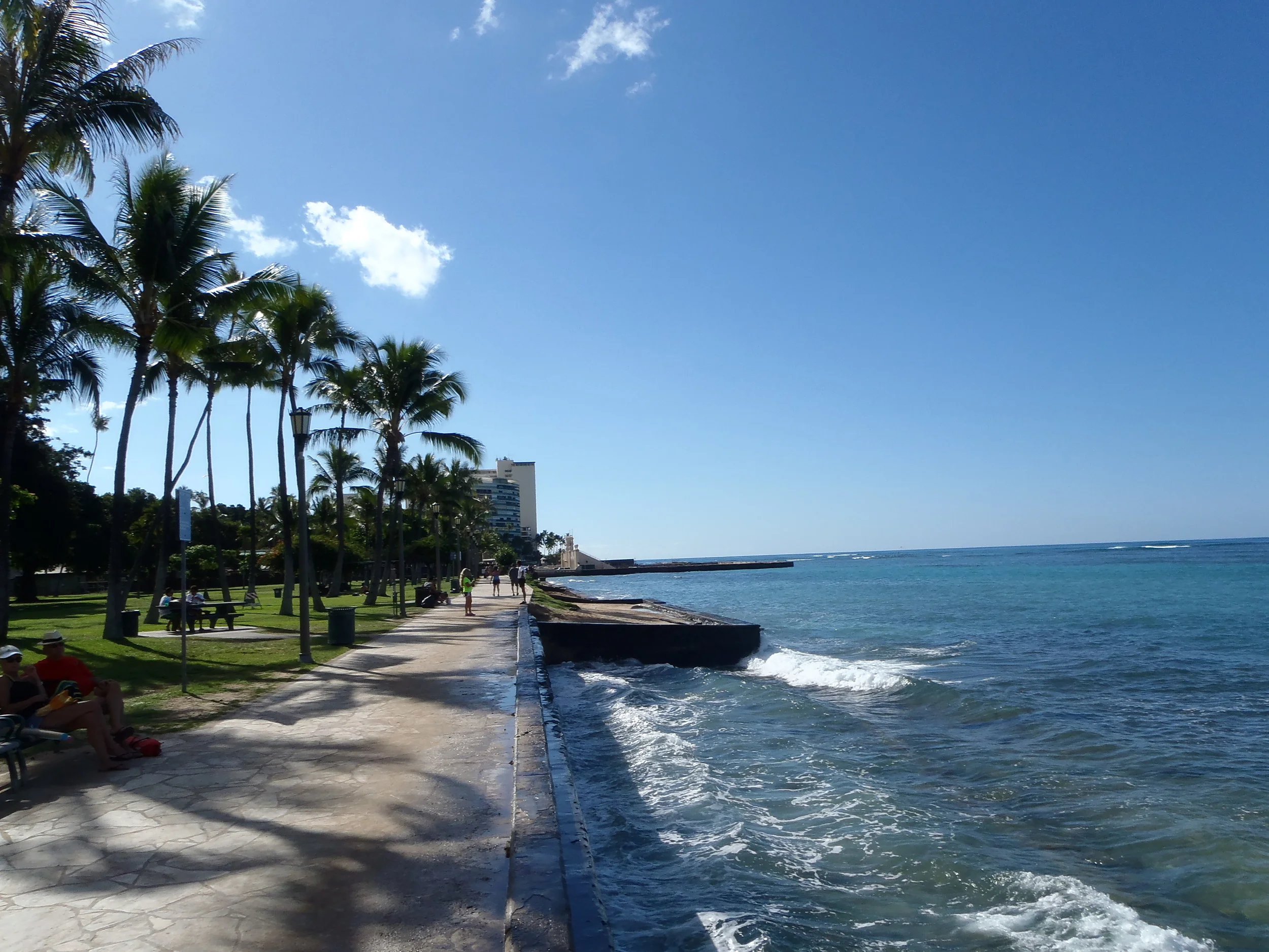 CITY RUNNING TOURS Honolulu Group Tours