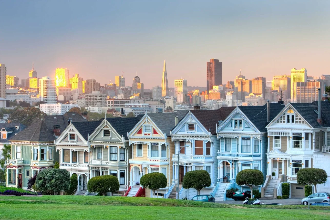 b57dfee3-37c2-47e9-b21f-34b640e51b0e-paintedladies.jpg