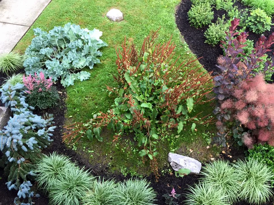8 Bidwell garden navel plus.jpg