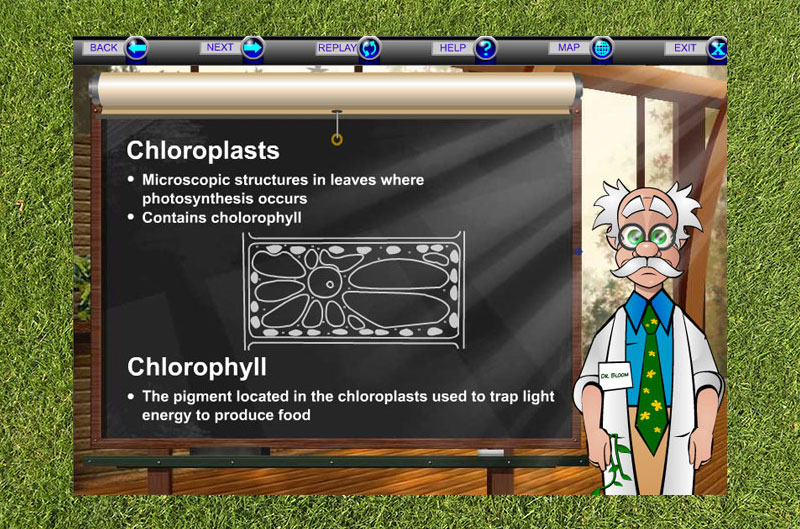  Meet Dr. Bloom as he takes the user through a lesson on plant anatomy 