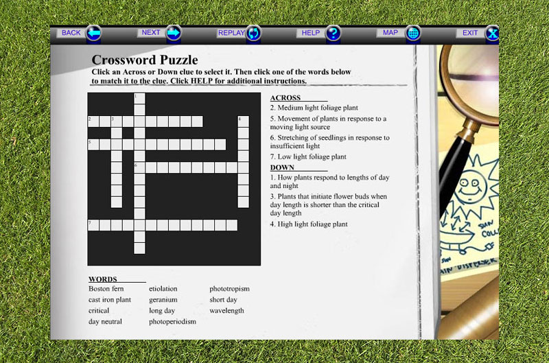  Interactive game to reinforce lesson: Crossword puzzle 