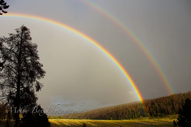 Double Rainbow