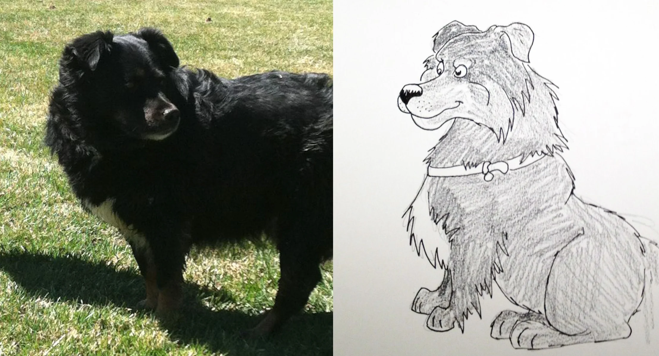 Dog Quick Caricature