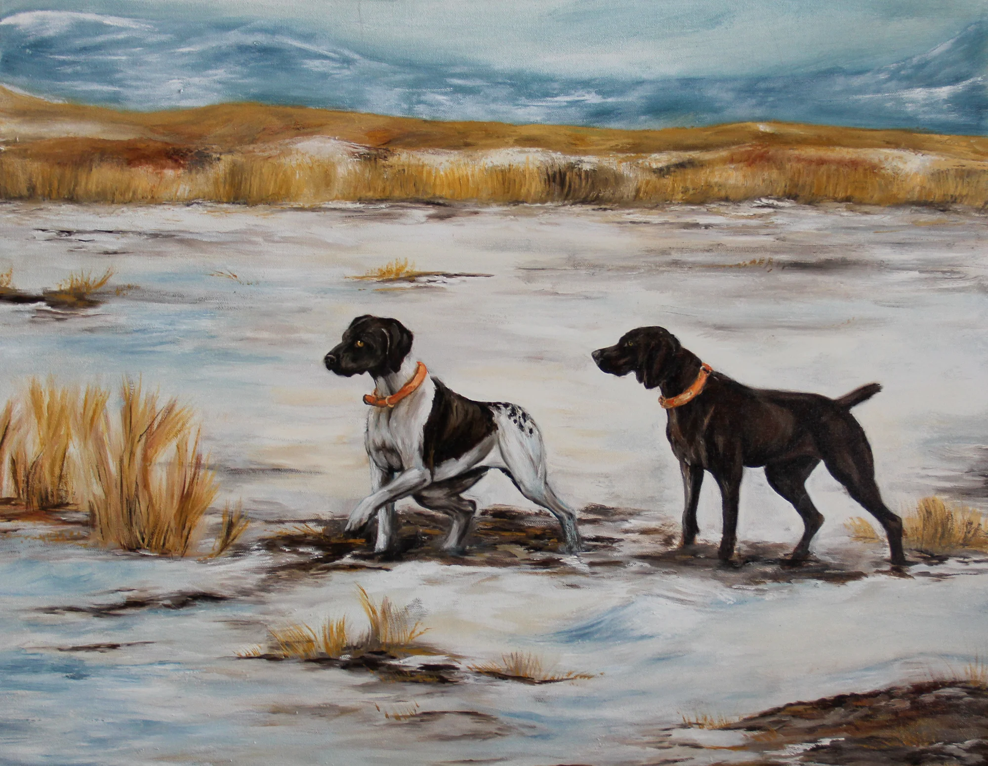 German Shorthair Pointer Hunting