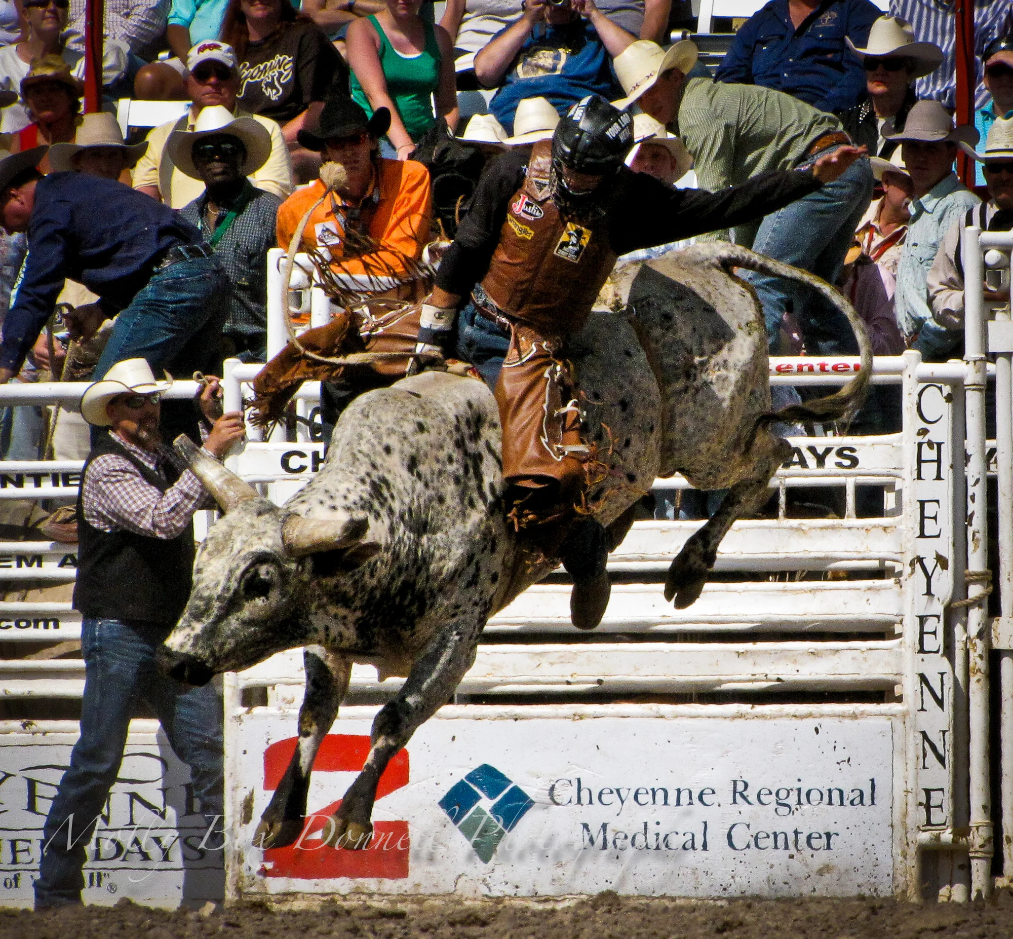 rodeo8-13-11.jpg