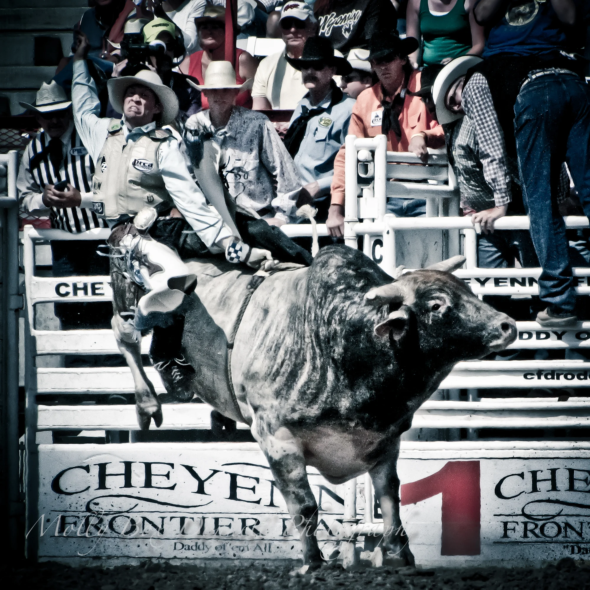 rodeo8-13-12.jpg