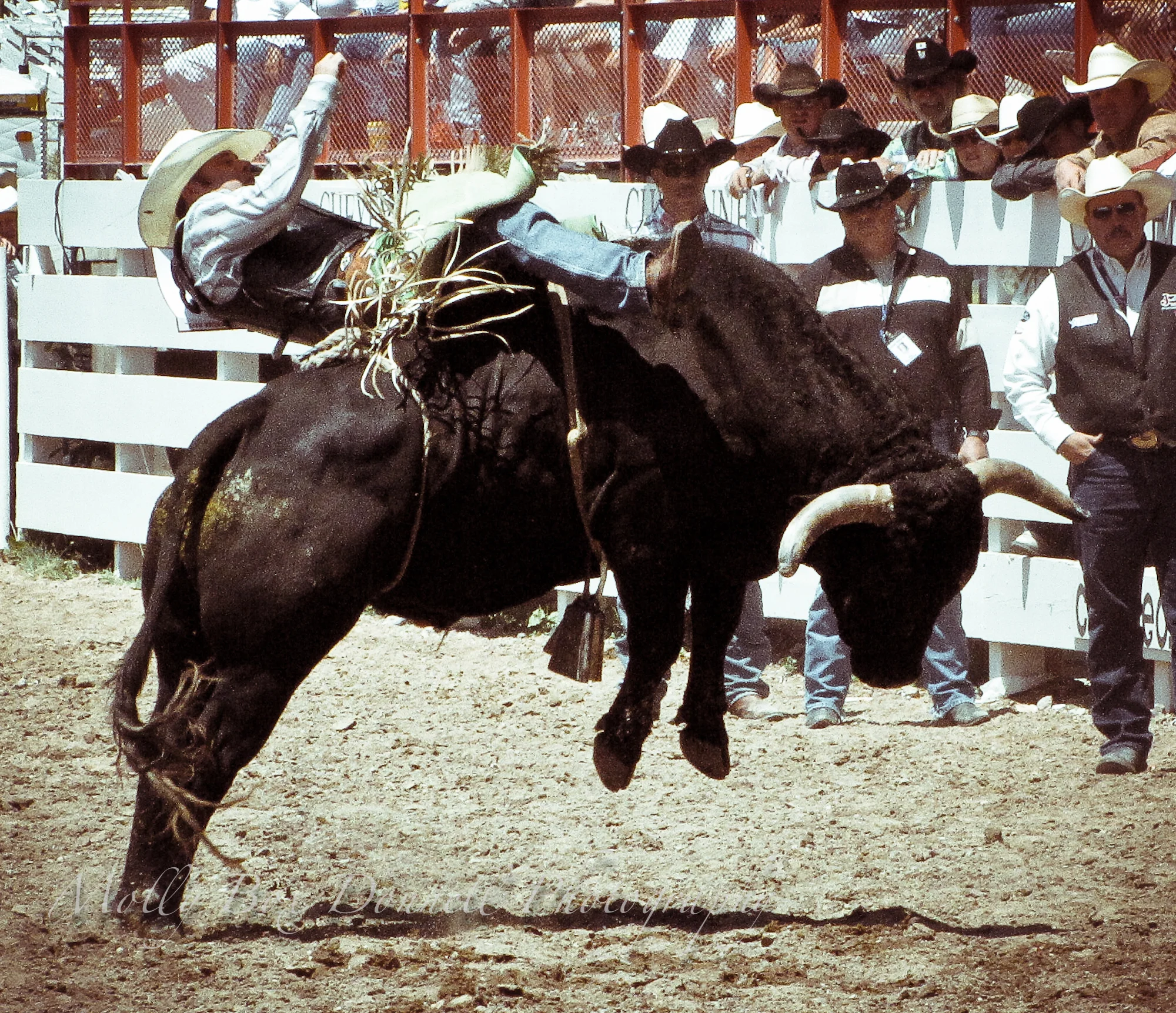 rodeo8-13-20.jpg
