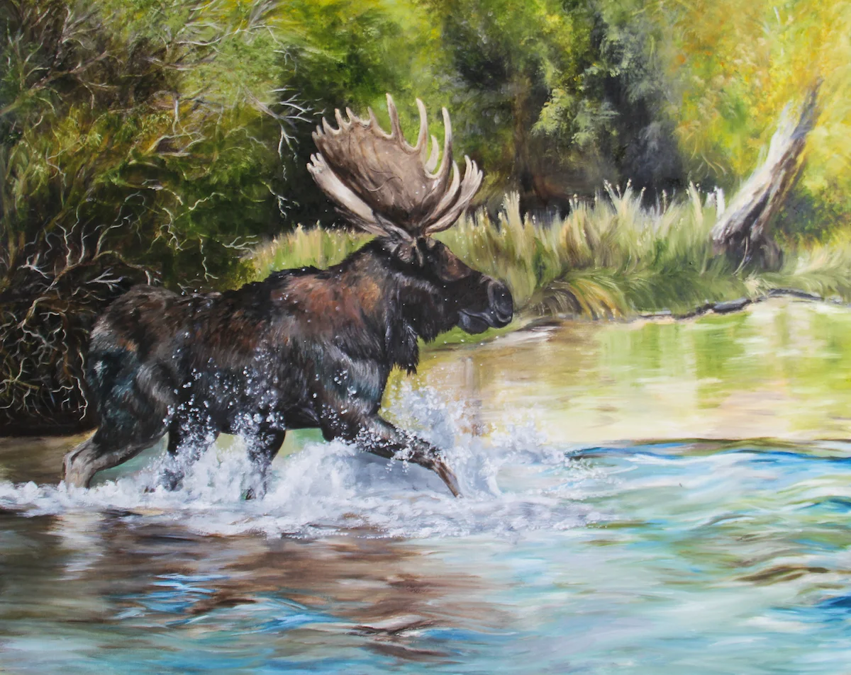 High-Noon Splash