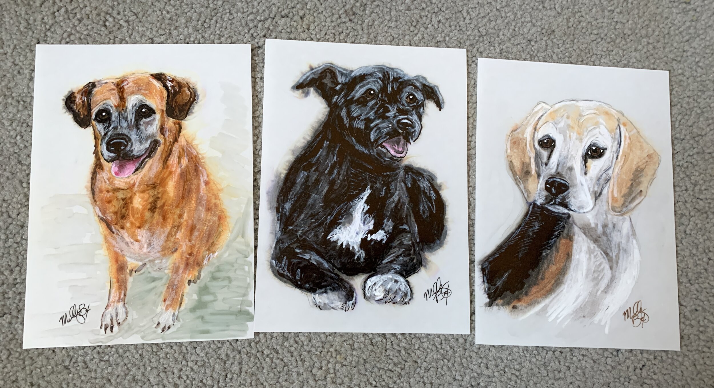 Dog portraits