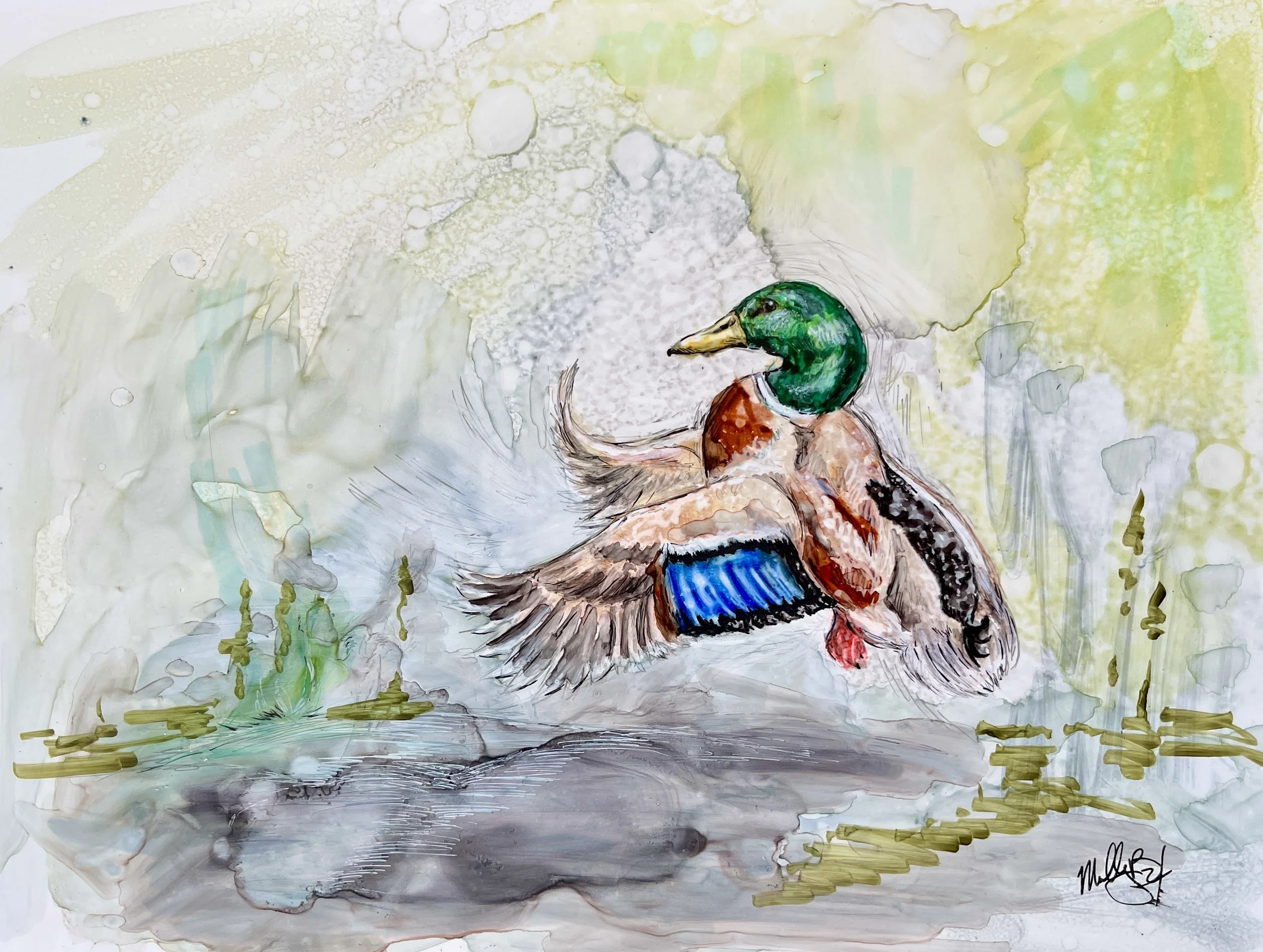 Mallard Landing