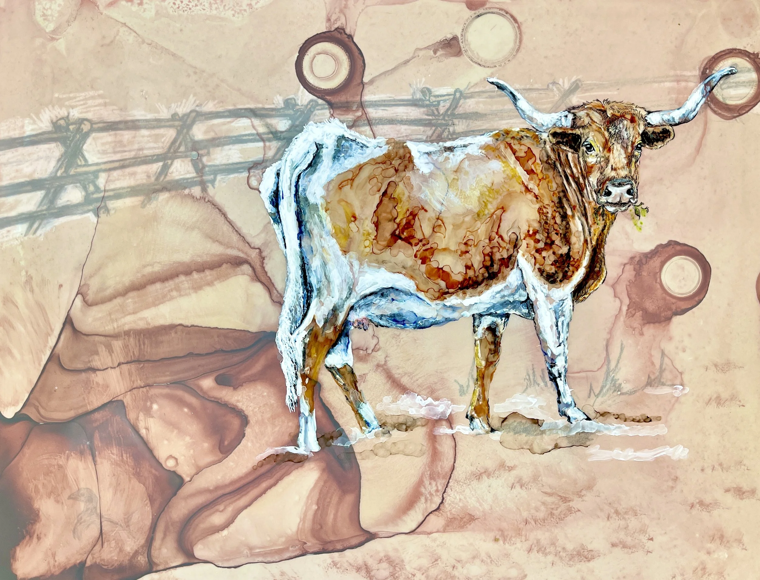 Longhorn Cow, Mixed Media