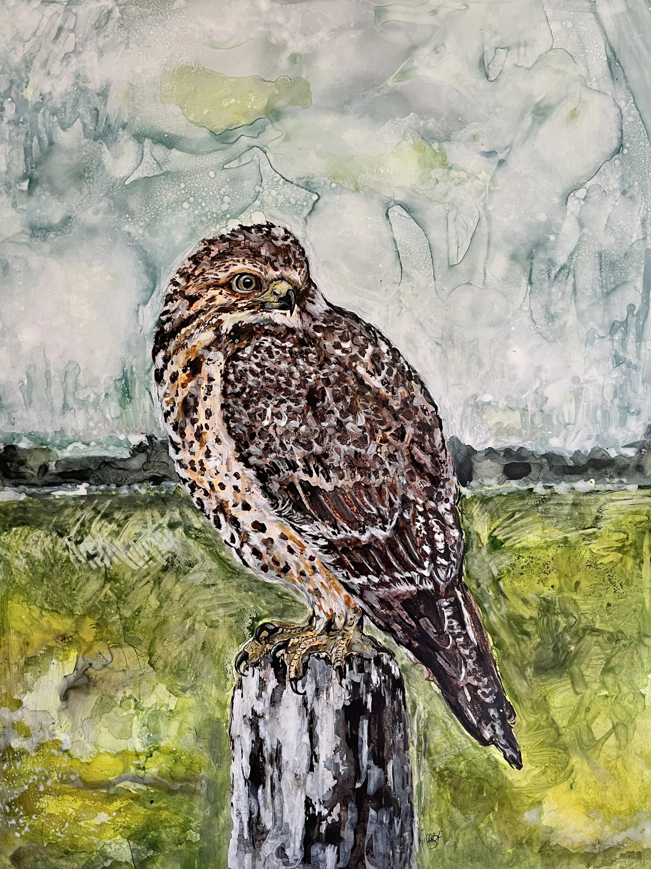 Ruffled Feathers