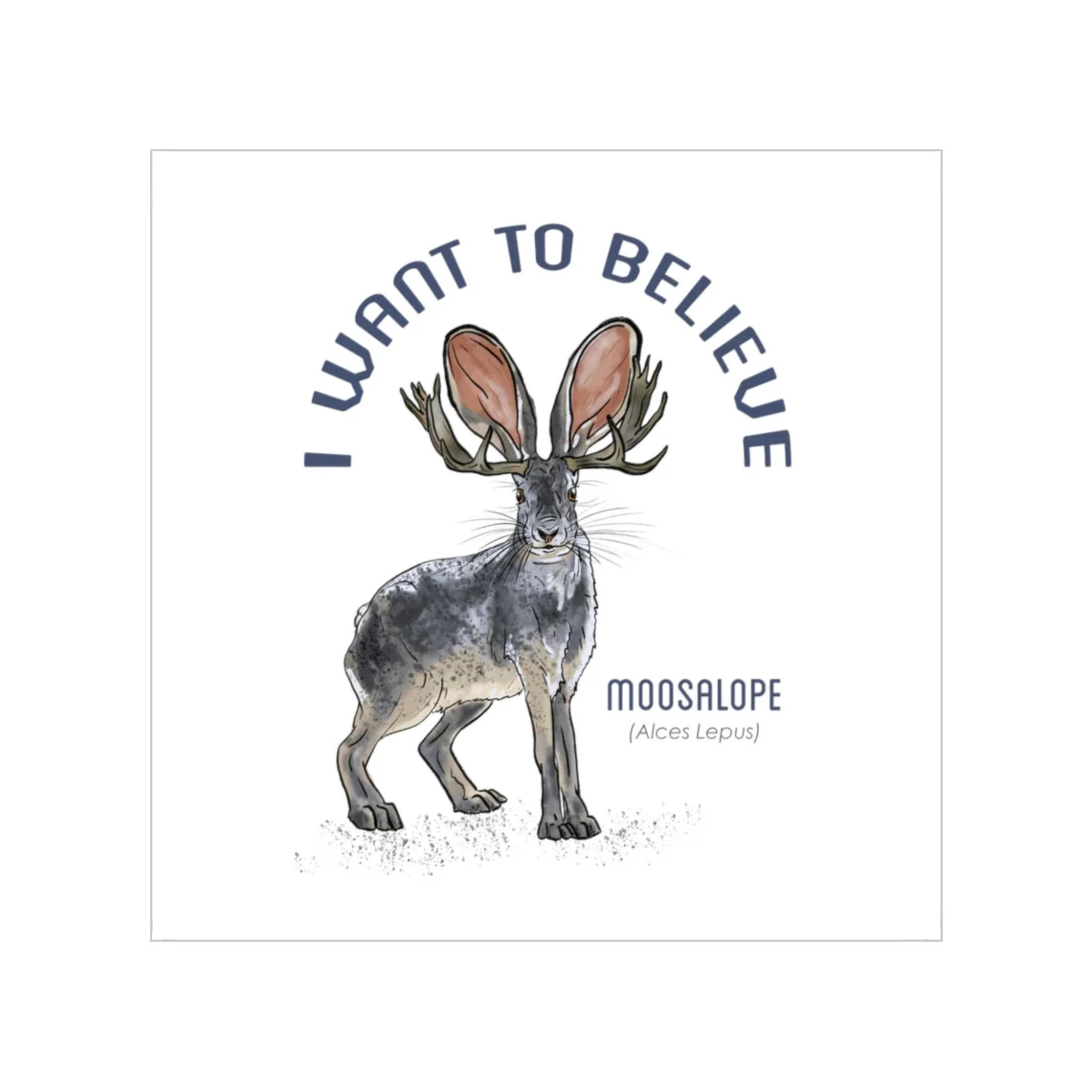 9615f612c0727b725d38a38d1d30046c