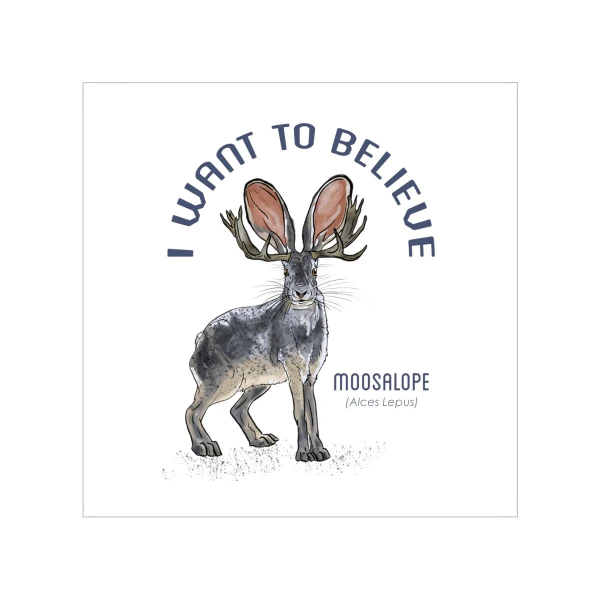 2de4952c69f0a1159f4c261774447f98