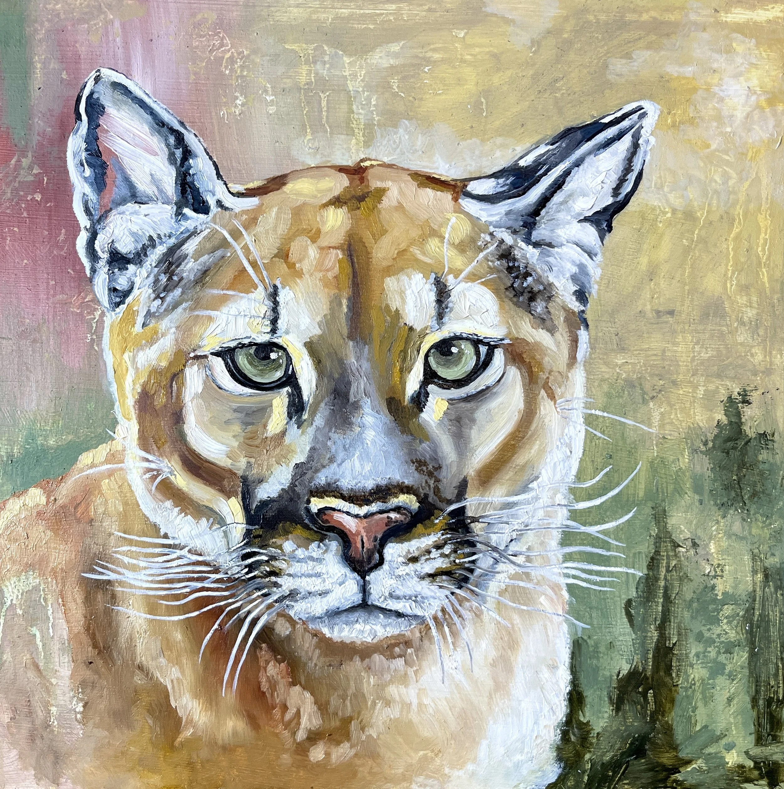 Mountain Lion Study