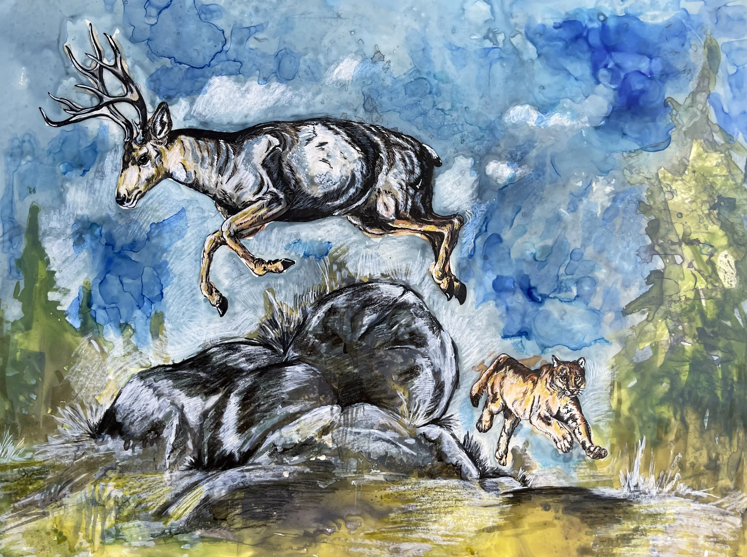 Bold Pursuit_20x24.JPG