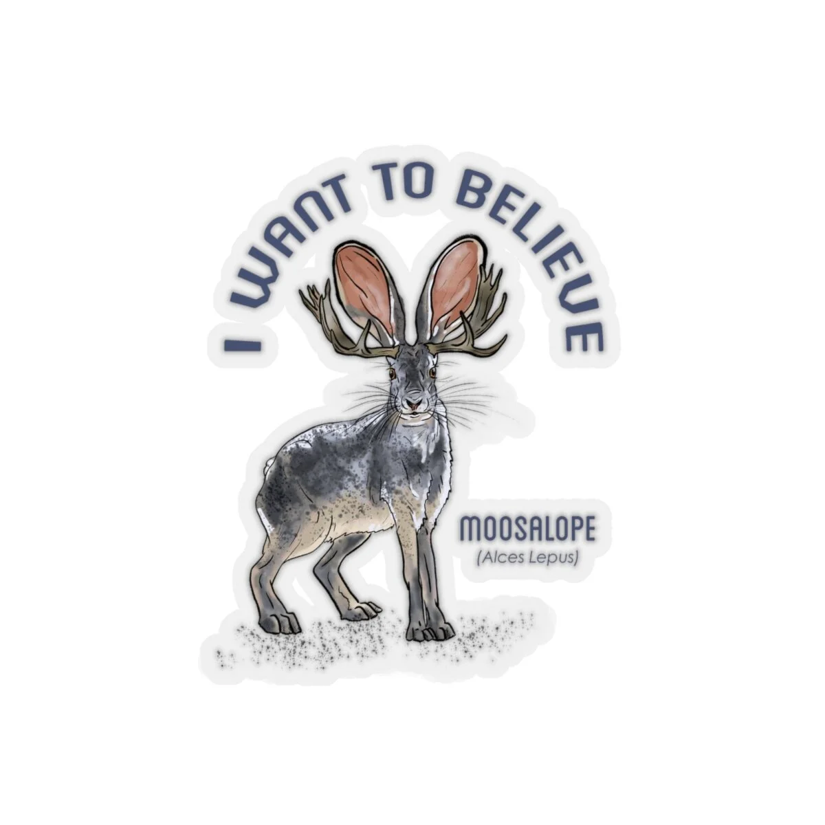 48005799e49b74fc6bc821670e404469