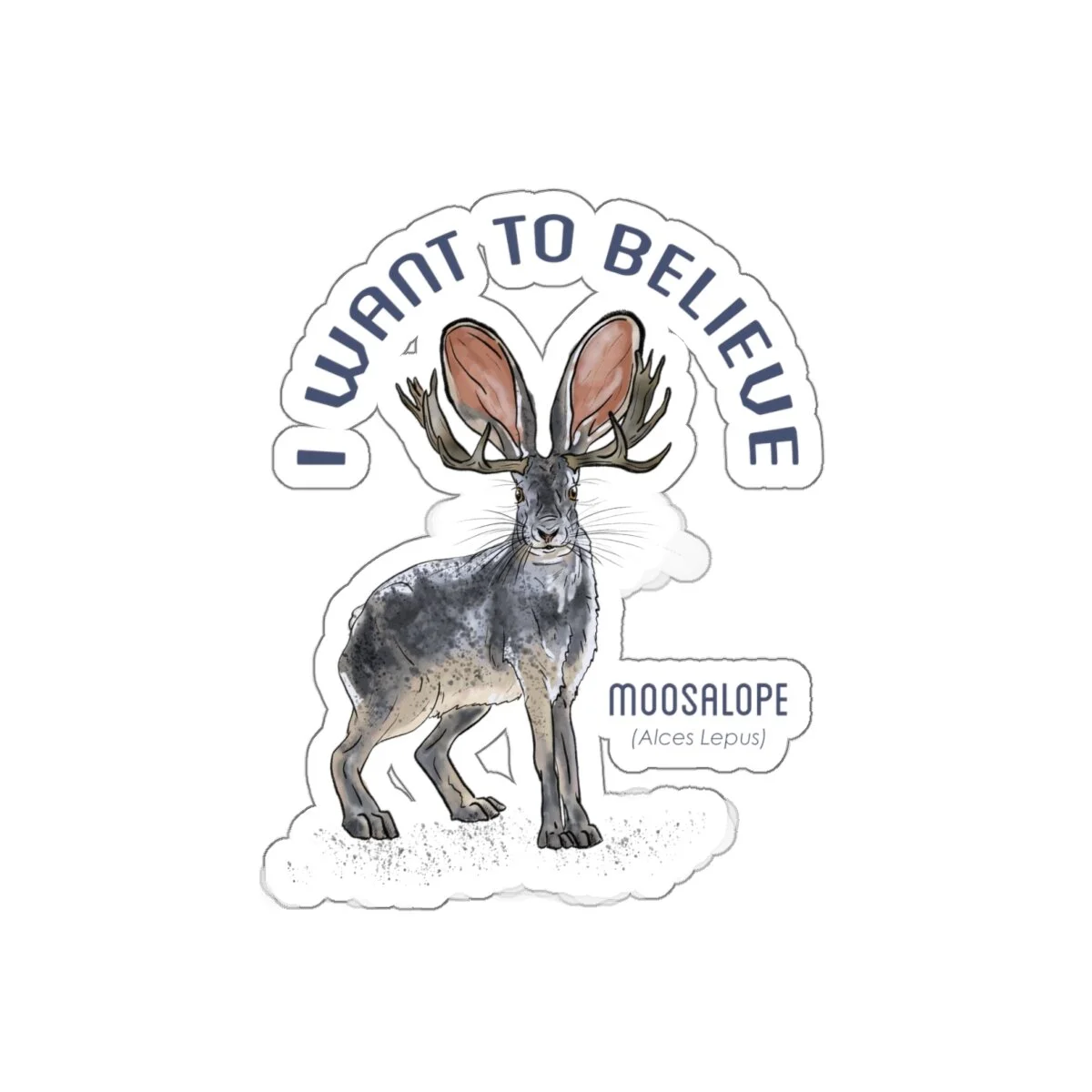 6529d6e8d930f3a54b4581910eecc3b3