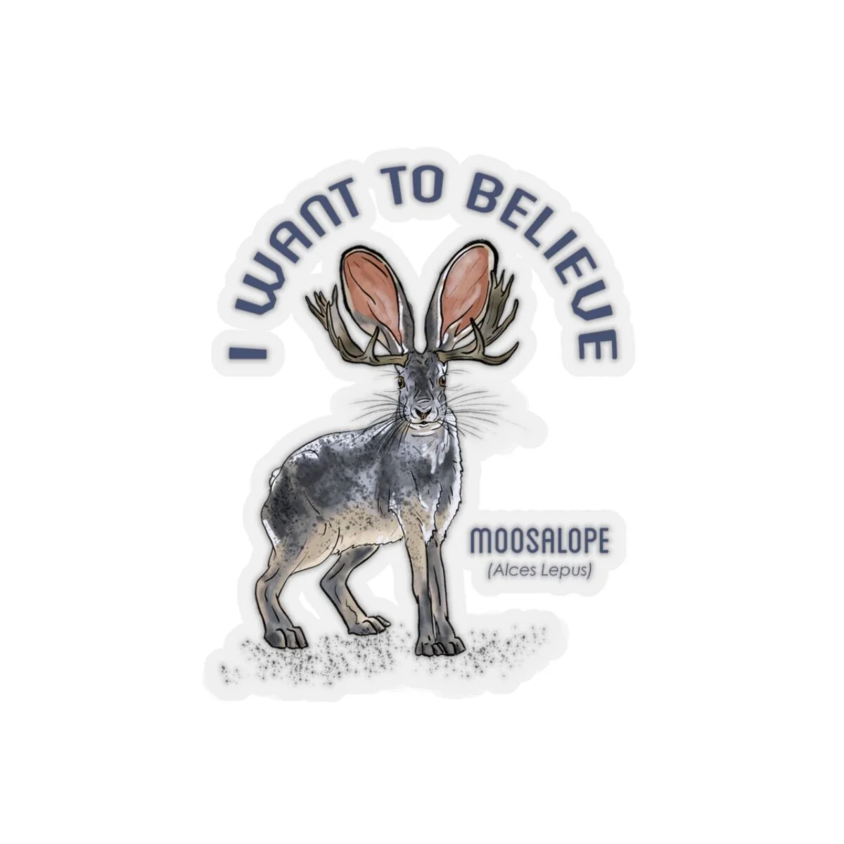 b086670385ca11cb3e6c43dfc4b81eb1