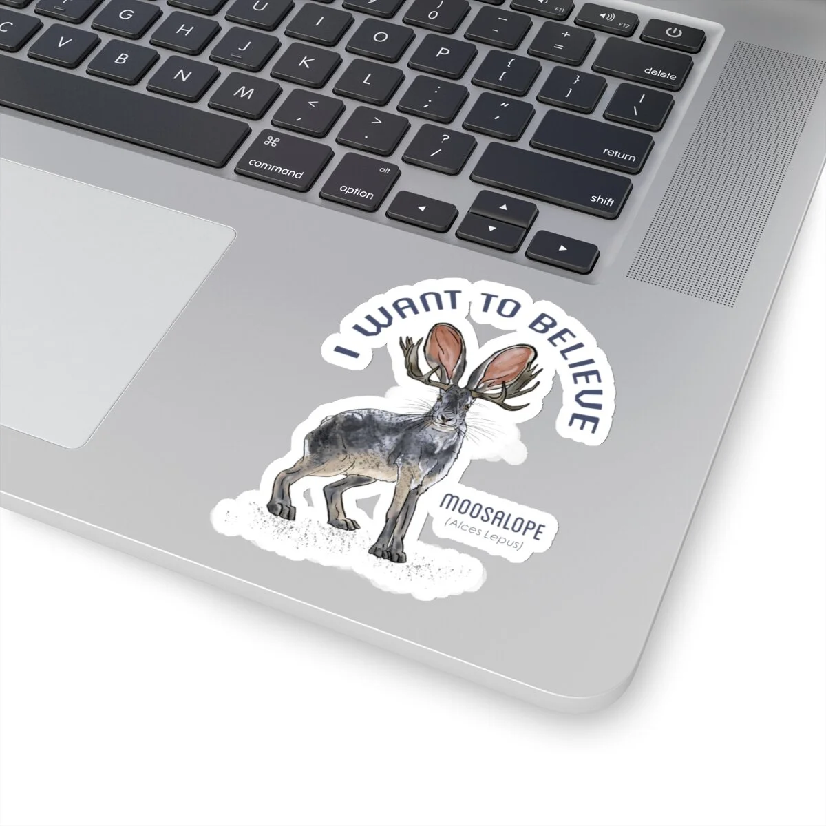 a0b2d8ff97ab7db6362a8cfba85e6909