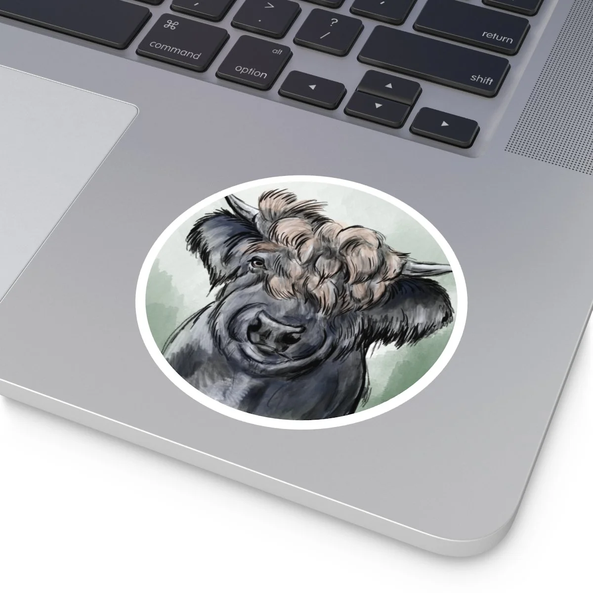 d593dea0bc3110a80b64a108fe50ed29