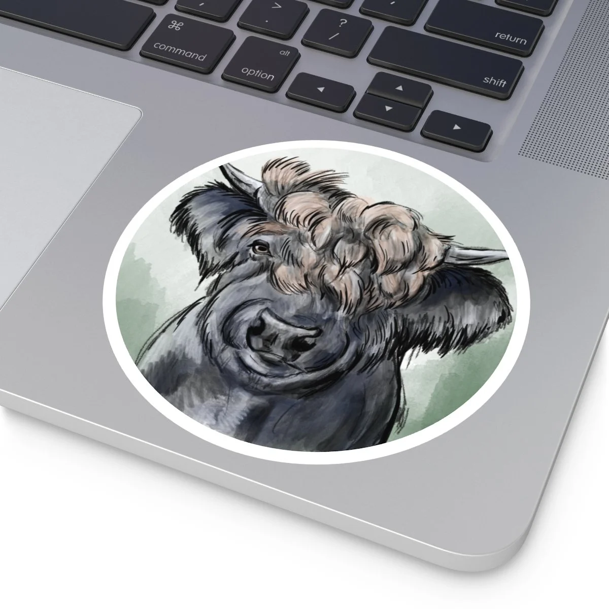 c8f6c51a5a30b36b10b87f21bf5ef248