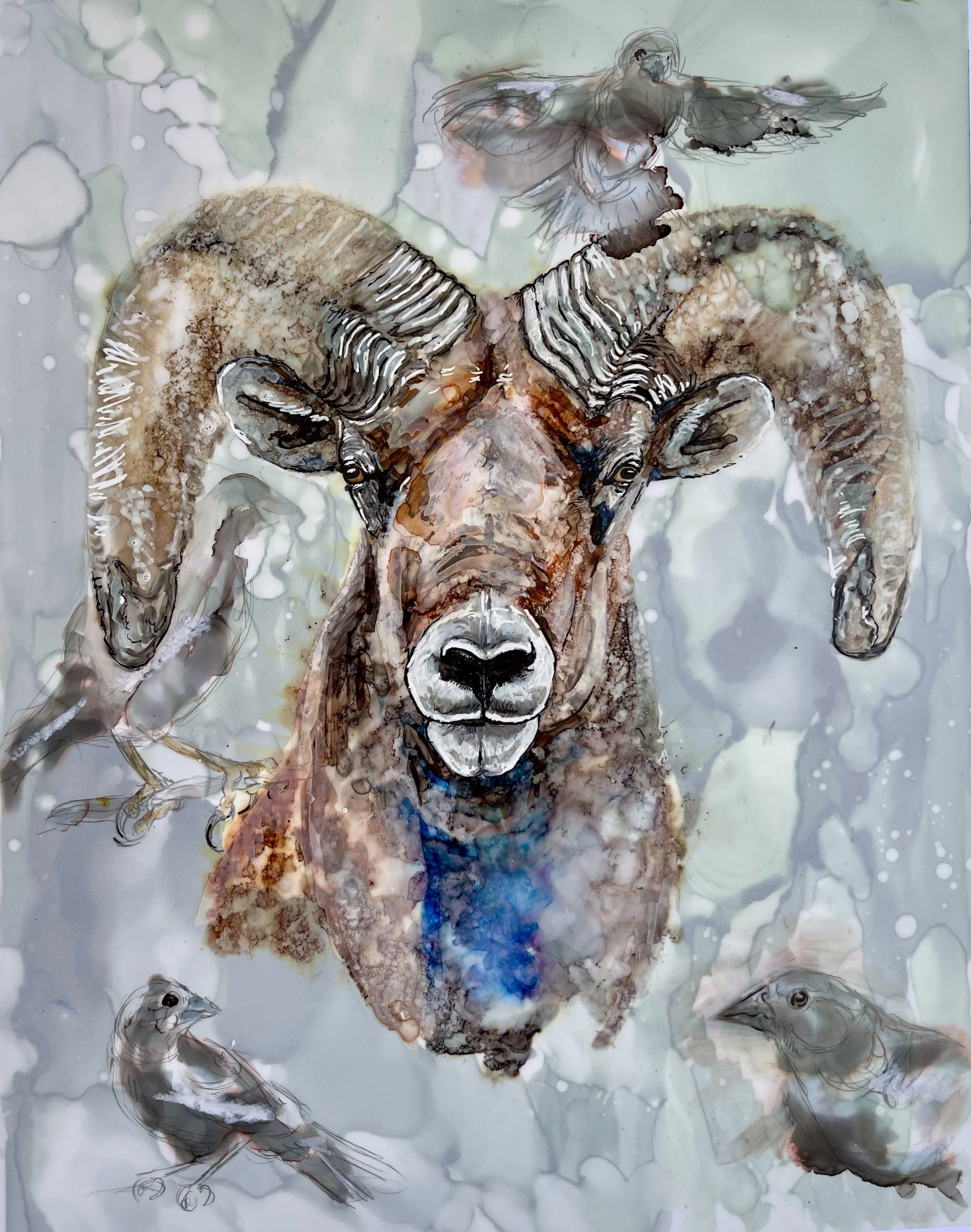 Bighorn and Buntings