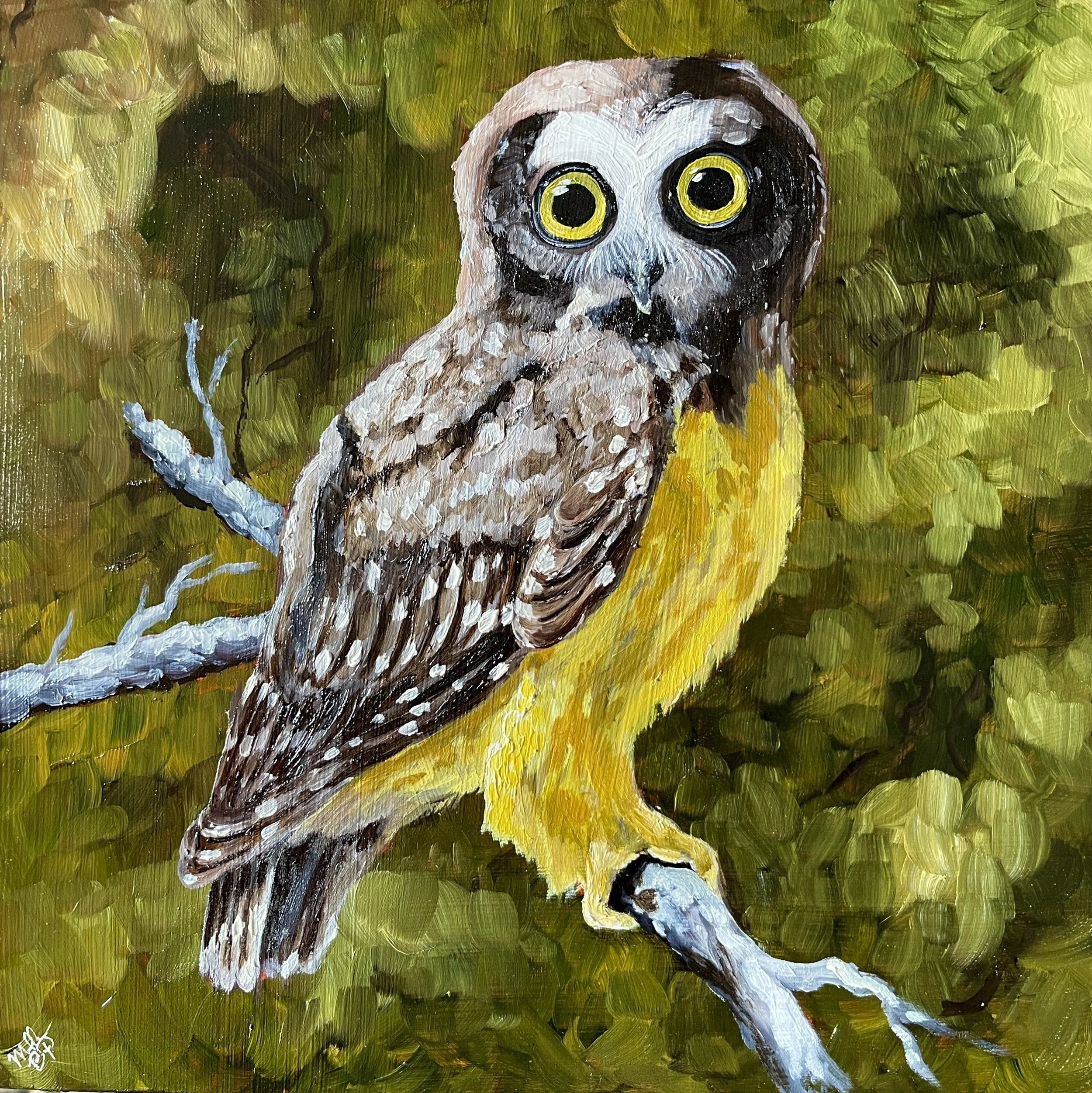 Eyes of the Forest Part Deux