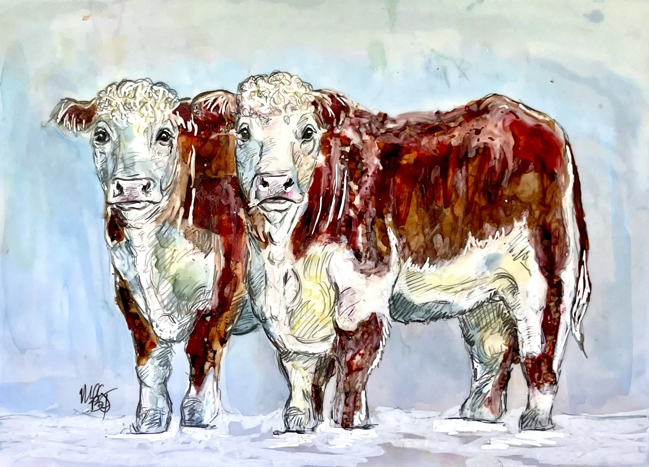 Snowy Herefords