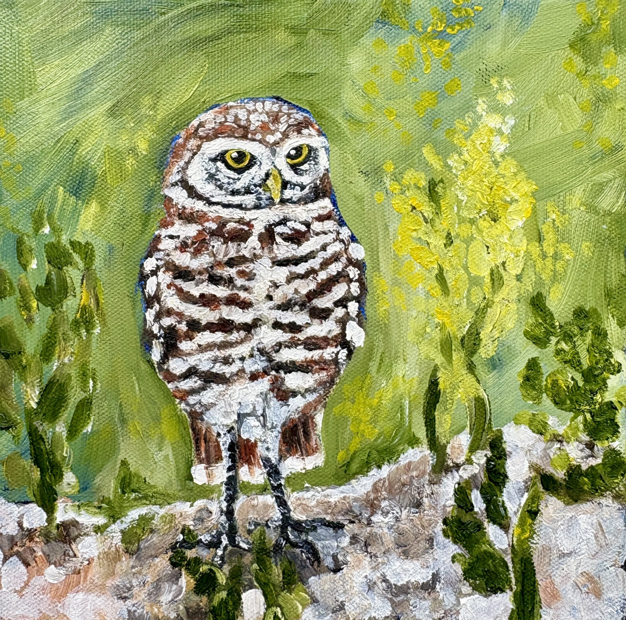 Burrowing Owl